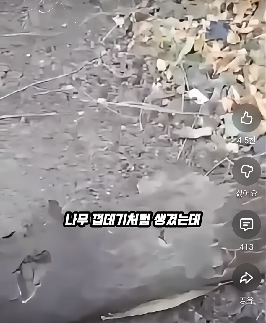 전쟁나면 야전에서 지뢰탐지가 불가능한 이유_1.jpg