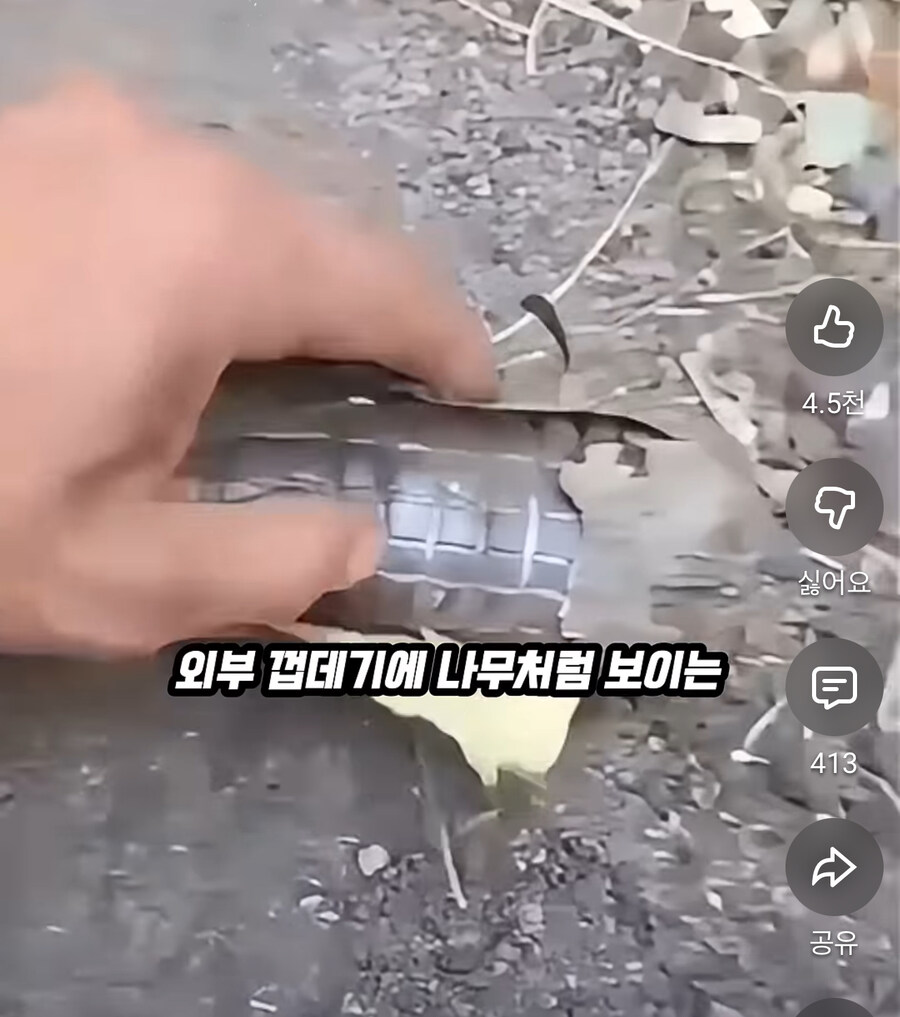전쟁나면 야전에서 지뢰탐지가 불가능한 이유_4.jpg