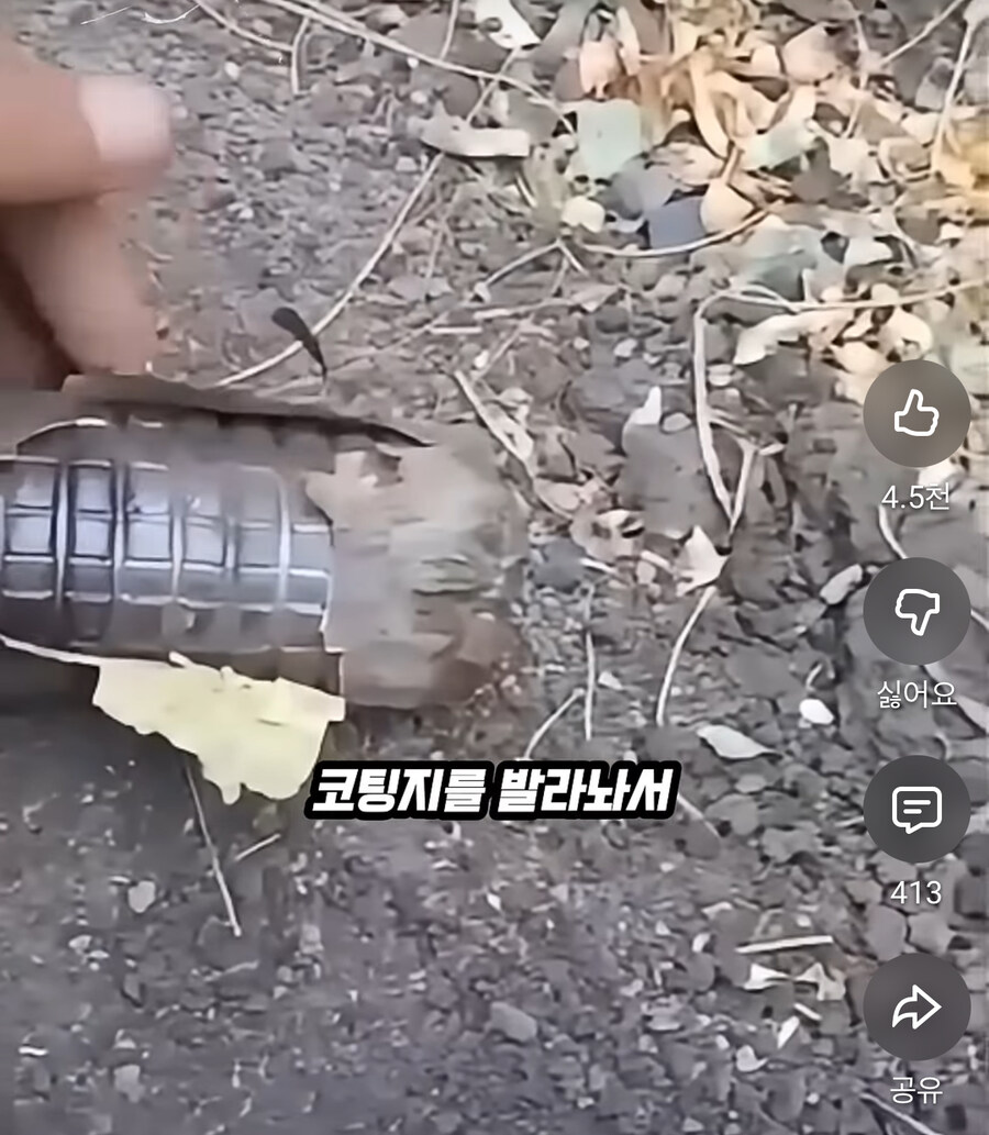 전쟁나면 야전에서 지뢰탐지가 불가능한 이유_5.jpg