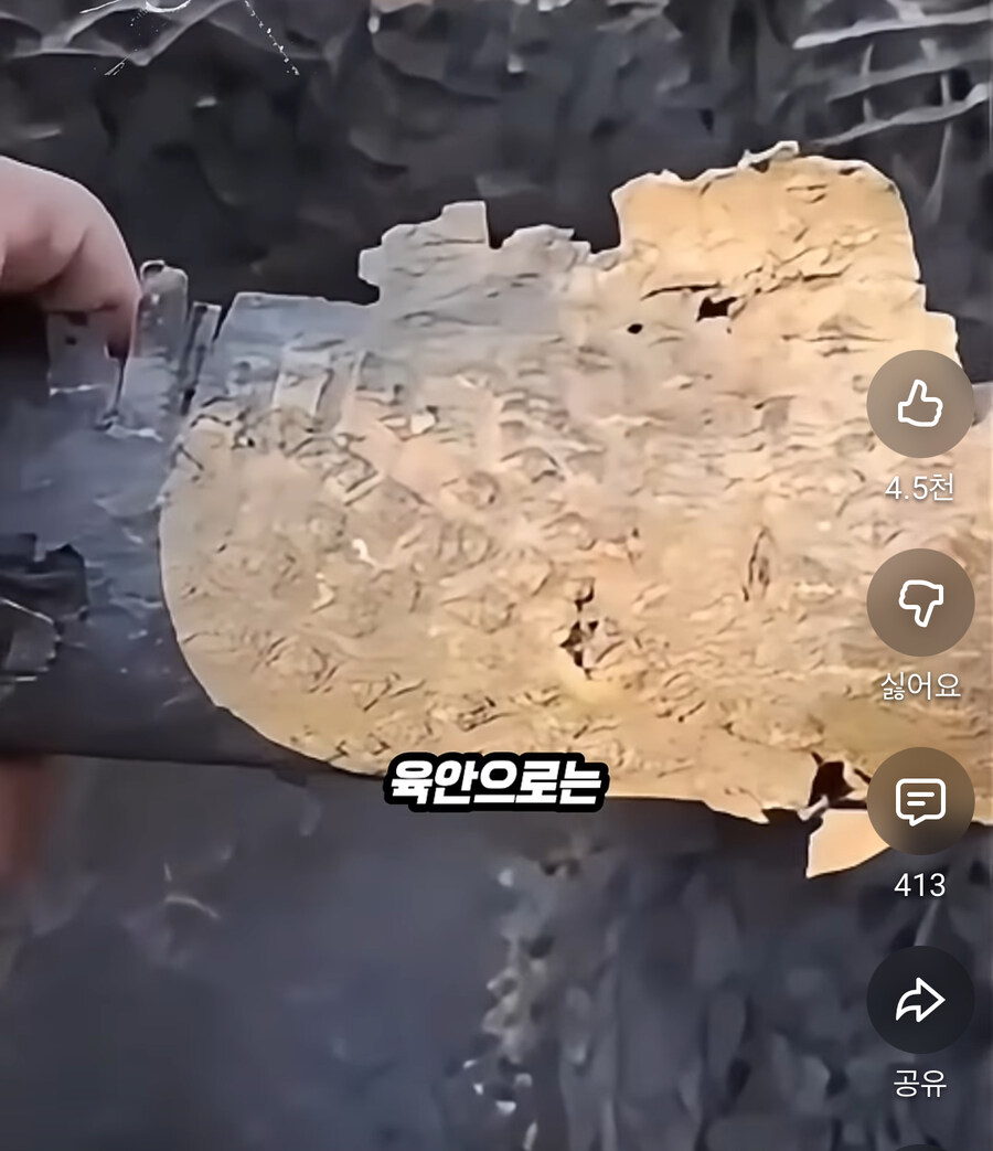 전쟁나면 야전에서 지뢰탐지가 불가능한 이유_6.jpg