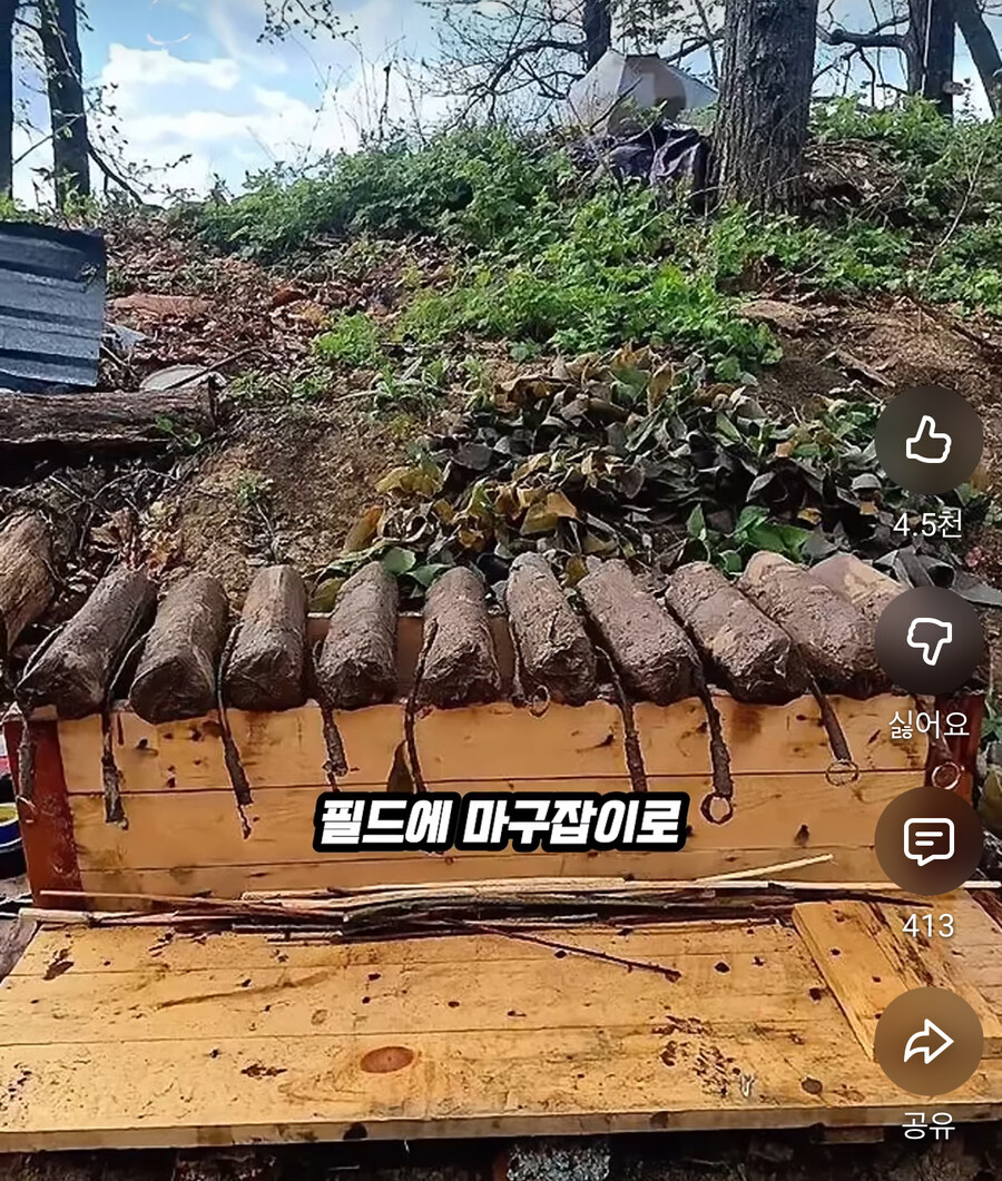 전쟁나면 야전에서 지뢰탐지가 불가능한 이유_12.jpg