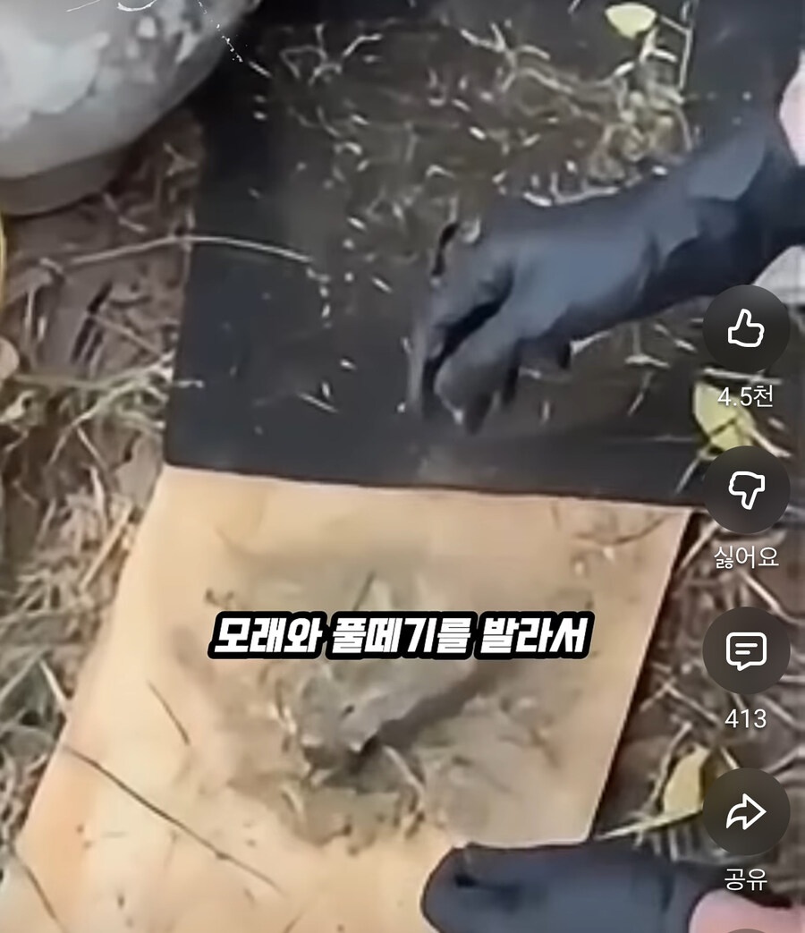 전쟁나면 야전에서 지뢰탐지가 불가능한 이유_18.jpg