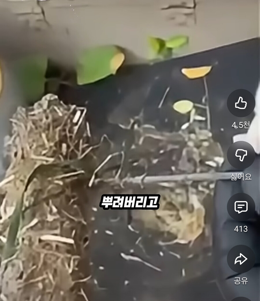 전쟁나면 야전에서 지뢰탐지가 불가능한 이유_20.jpg