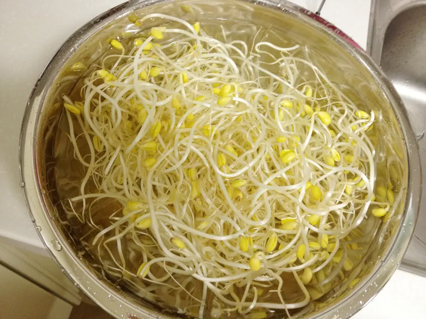 필수 5대 식재료_4.webp