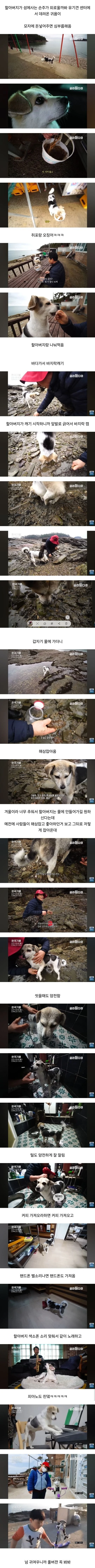 할아버지가 유기견 센터에서 데려온 귀욤이_1.webp