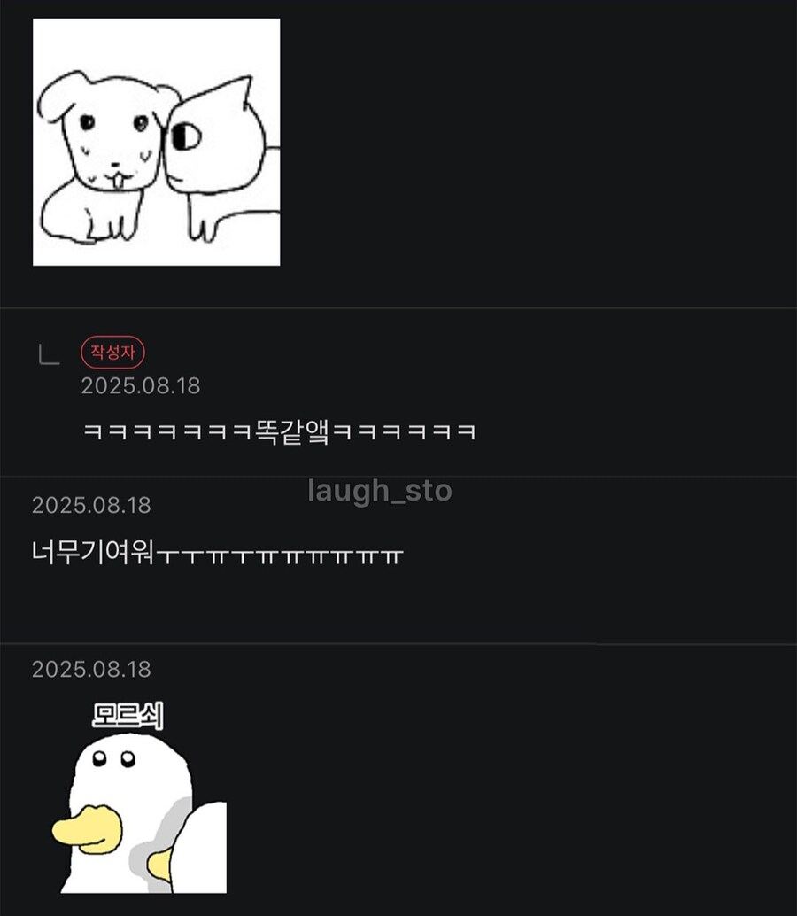 우리애는 고양이 보면 무조건 흐린 눈해.jpg_3.jpg