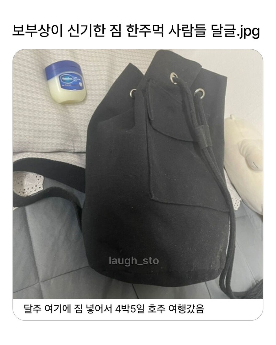 보부상이 신기한 사람들의 답글.jpg_1.jpg