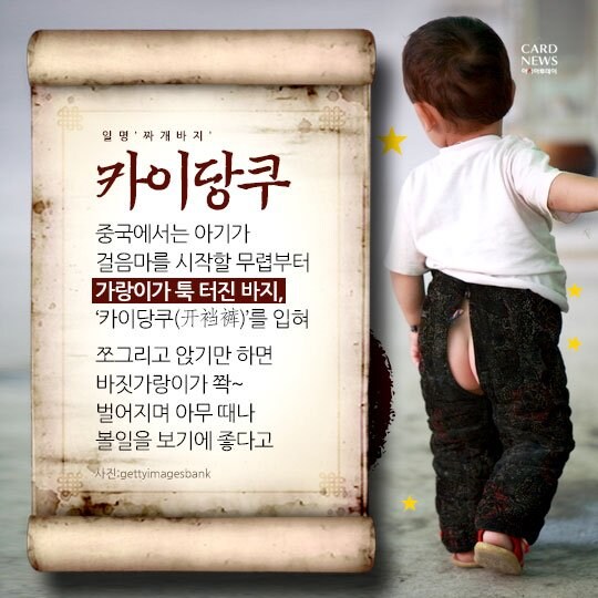 보지까꿍 봤으면 궁디까꿍도 봐야지_1.jpg