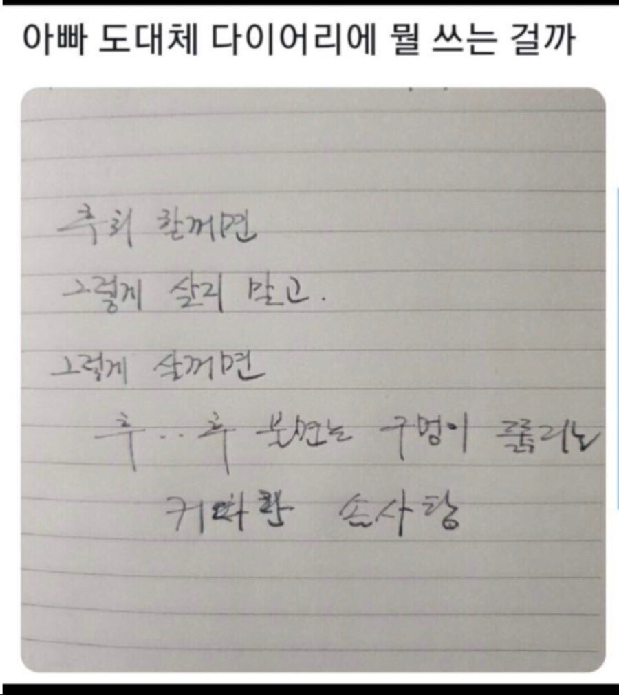 아빠 도대체 다이어리에 뭘 쓰는걸까_1.jpg