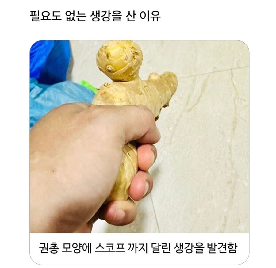생강을 충동 구매한 이유_1.jpg