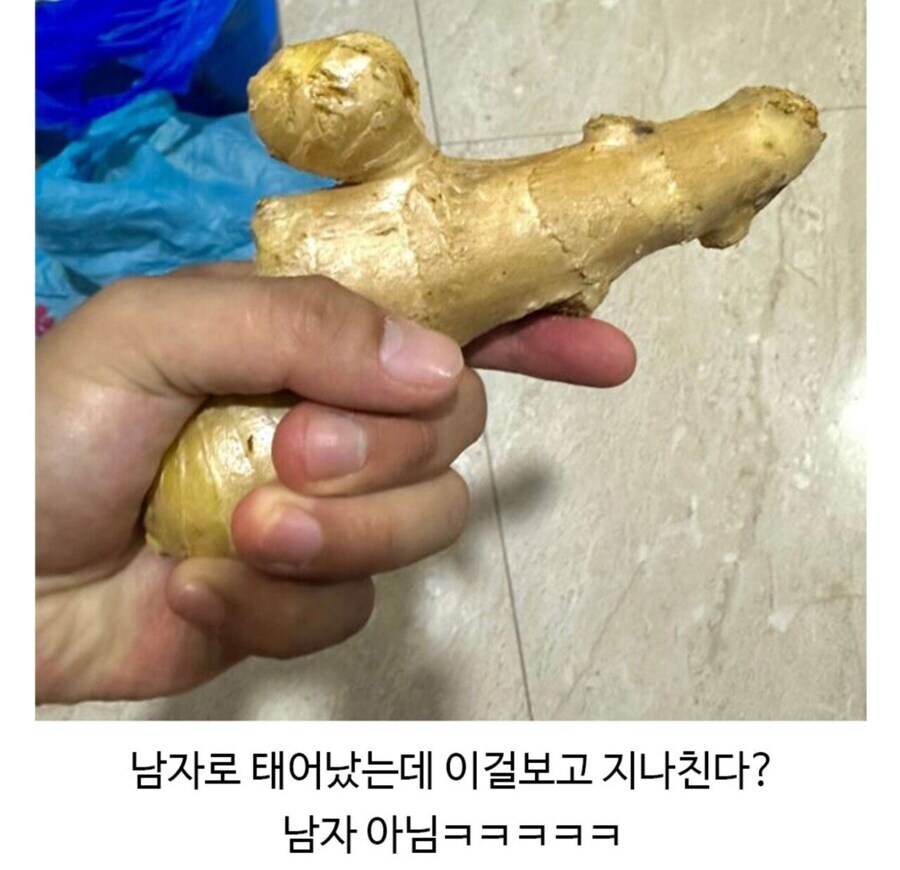 생강을 충동 구매한 이유_2.jpg