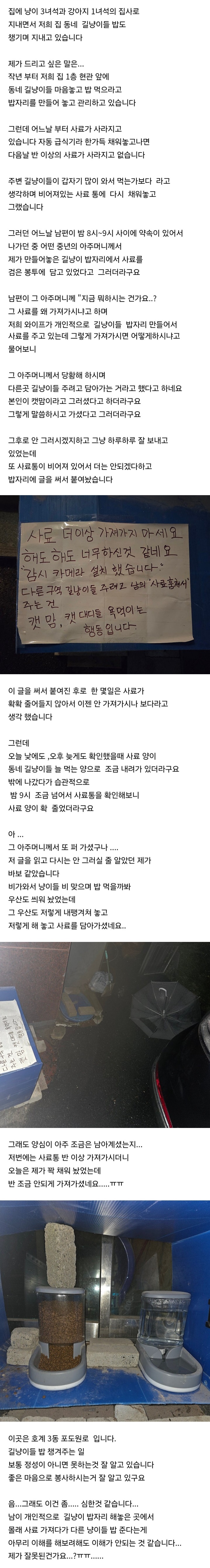 캣맘한테 야생 고양이 사료 도둑맞고 있는 캣맘_1.jpg