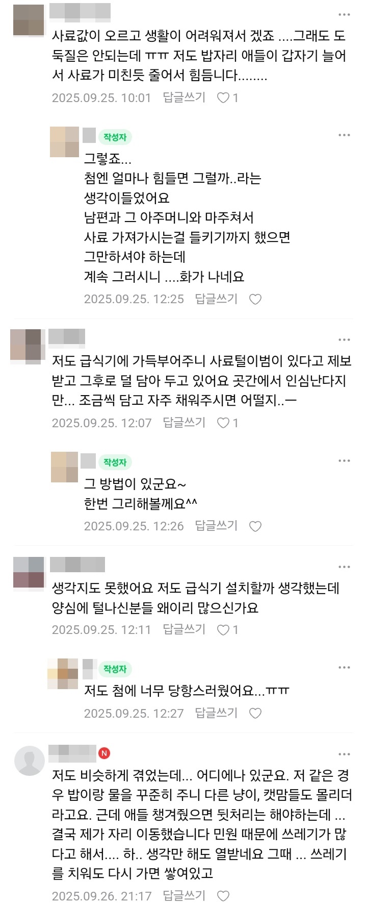 캣맘한테 야생 고양이 사료 도둑맞고 있는 캣맘_4.jpg