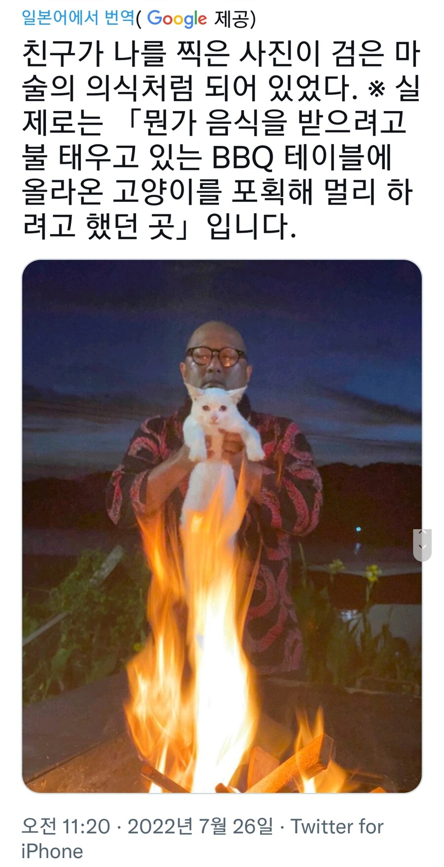 고양이를 안전한 장소로 이동시키는 사진_2.jpg