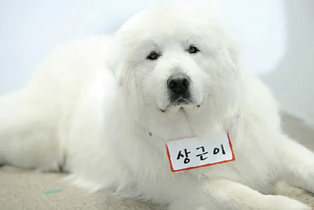 부인과 자녀가 많았던 승리자_1.webp