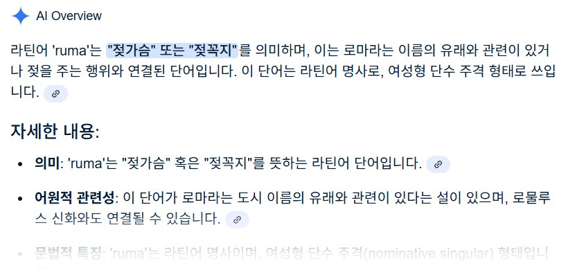 로마는 젖ㄳ이란 뜻이었구나.._1.png