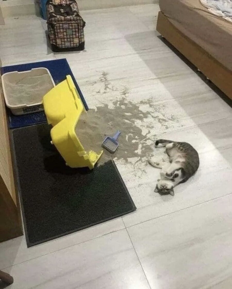 ???: 야 !뭘봐?_1.jpg