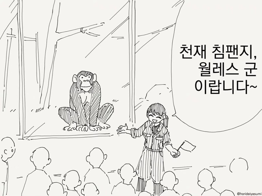 수화하는 천재 침팬지_1.png