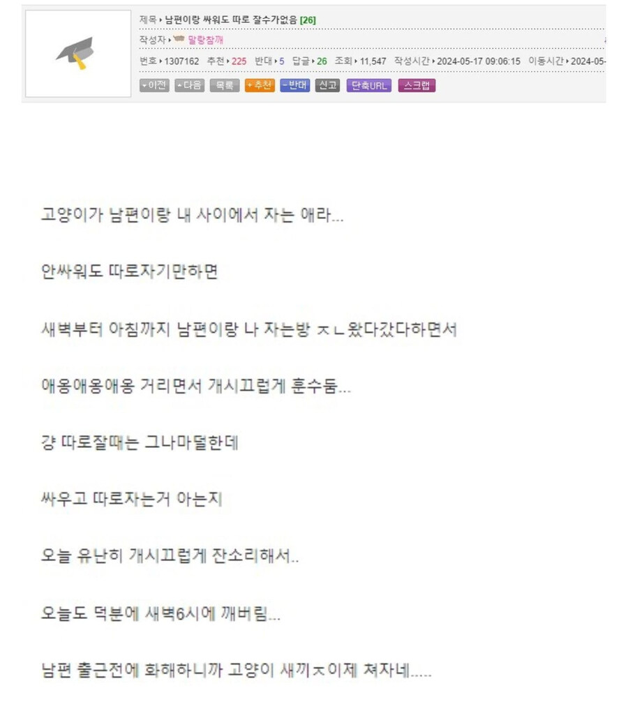 가정의 수호자 갓냥이_1.jpg