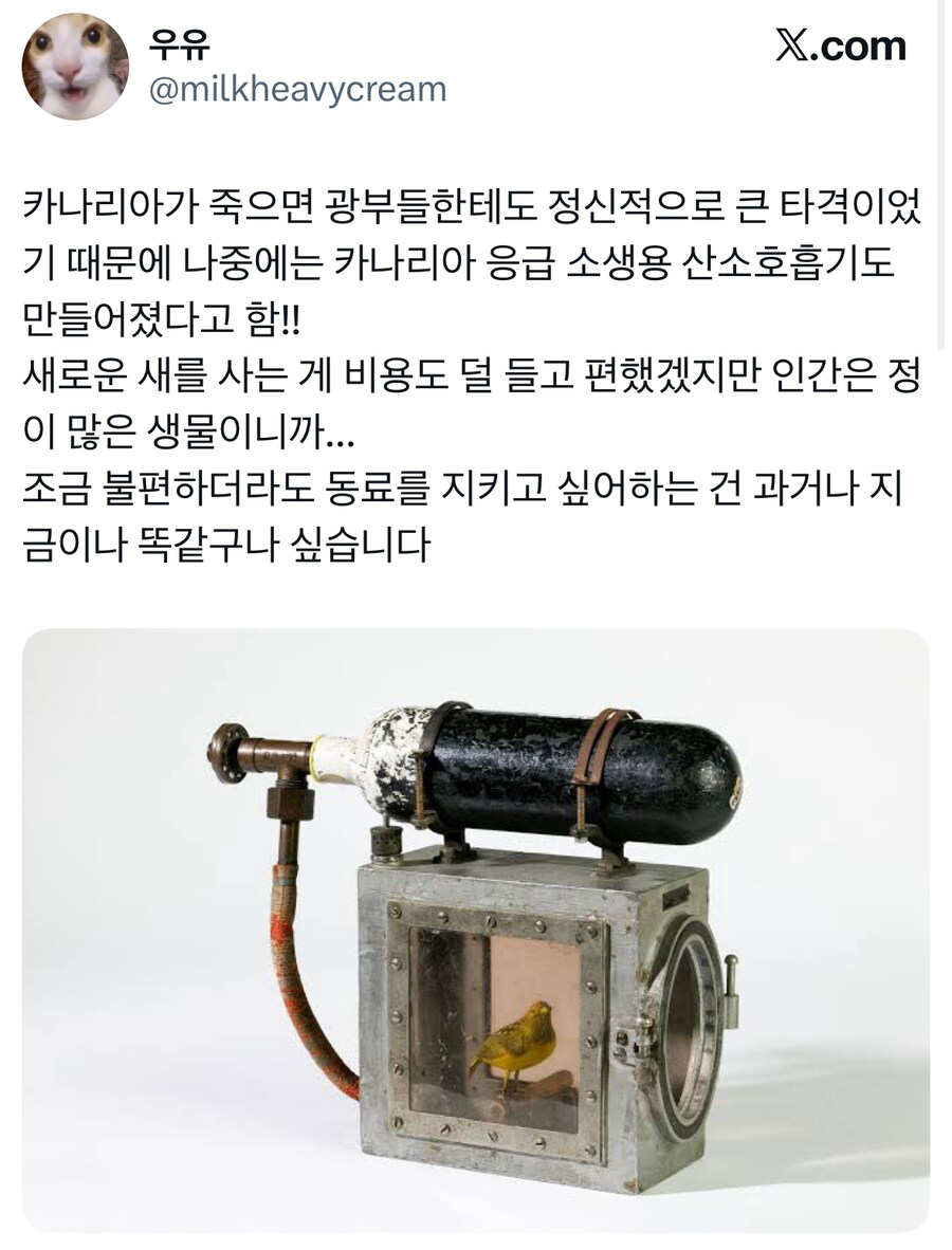 탄광의 카나리아에 대한 오해.jpg_5.jpg