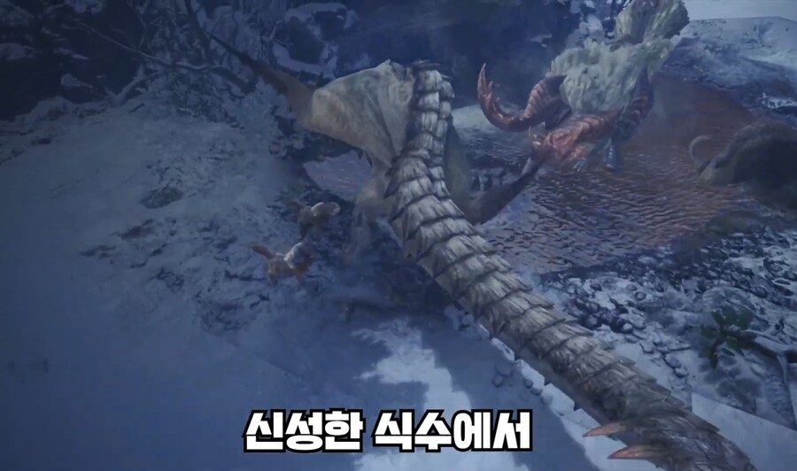 젊을땐 성질이 매우 불 같았다는 밸리오로스_8.jpg