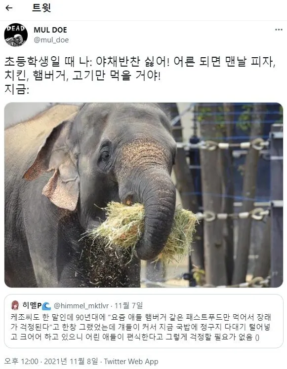 어린 애들이 편식한다고 걱정 할 필요 없는 이유_1.webp