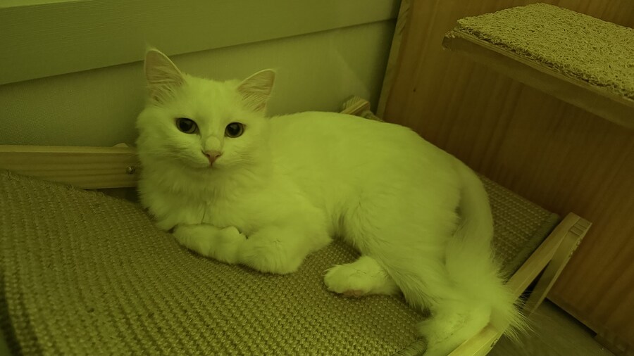 야심한 밤, 좋은걸 보여주지_1.jpg