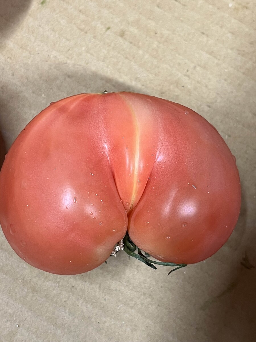 빨갛게 부은 XXX_1.jpg