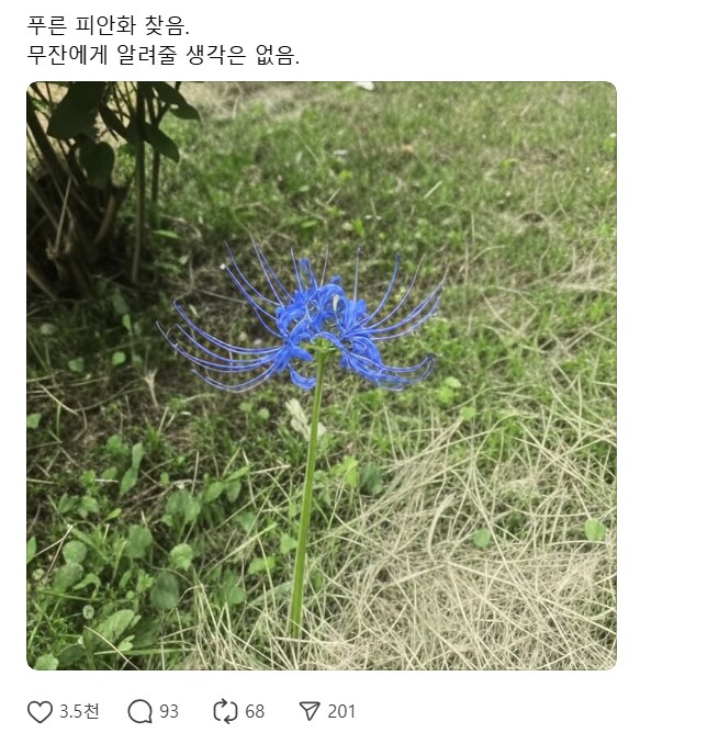 귀멸) 와 무잔이 찾던 푸른 피안화가 여기있었네요~^^_1.png