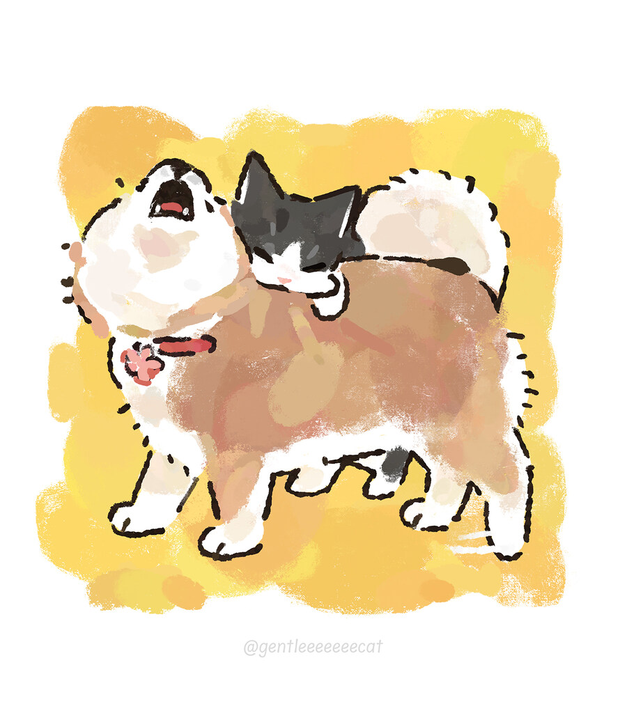 강아지 무는 고양이_1.jpg