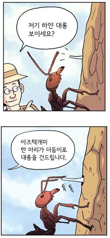 인간 다음으로 가축을 많이 기르는 생명체.jpg_1.png
