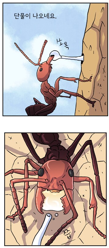 인간 다음으로 가축을 많이 기르는 생명체.jpg_2.png