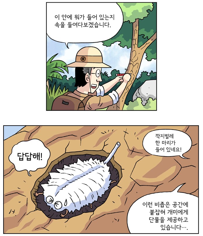 인간 다음으로 가축을 많이 기르는 생명체.jpg_3.png