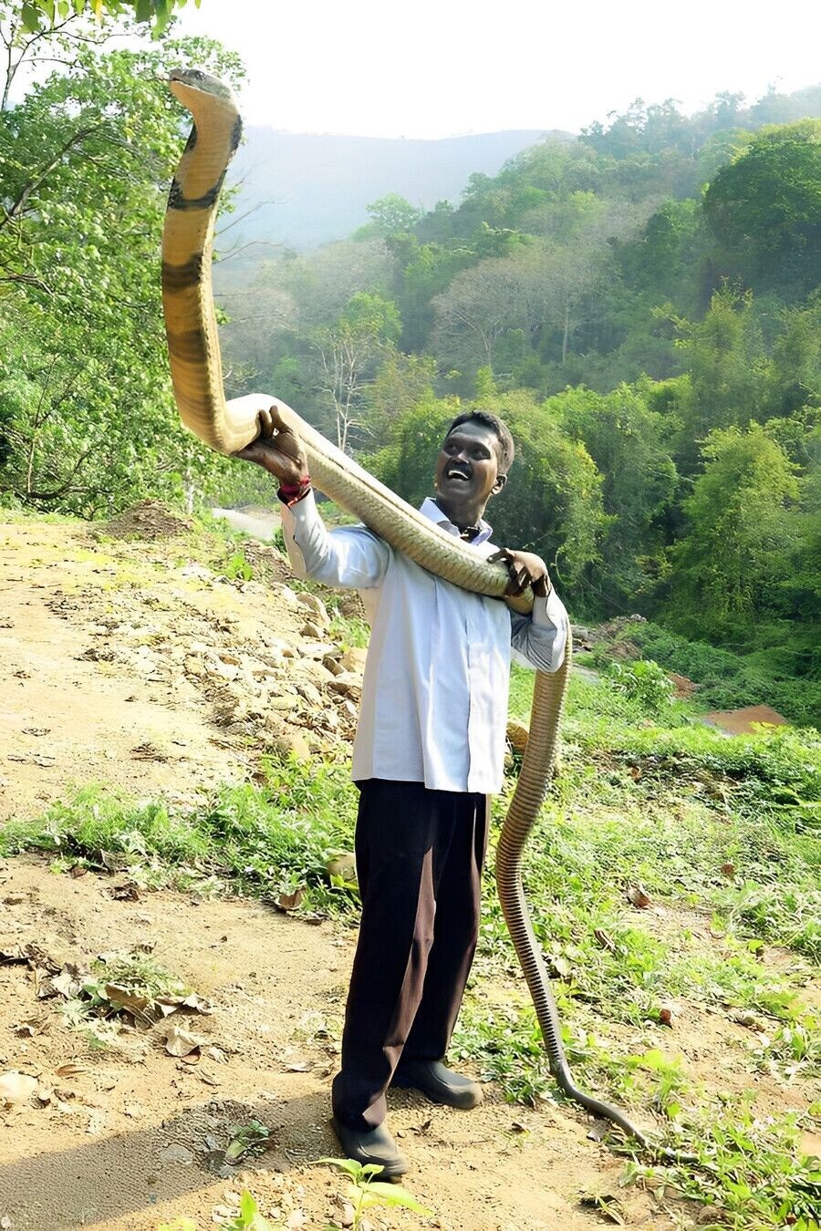 옛날 사람들이 이무기 전설을 믿었을 이유.._3.jpg