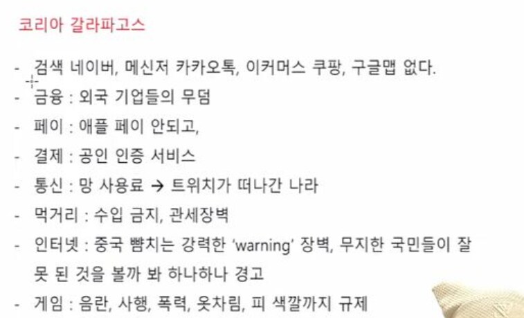 한국 기업, 산업을 보호하기 위해 무지성으로 외국을 막은 결과_1.png