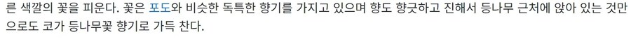 귀멸) 시노부 체취 농축액 향수_3.jpg