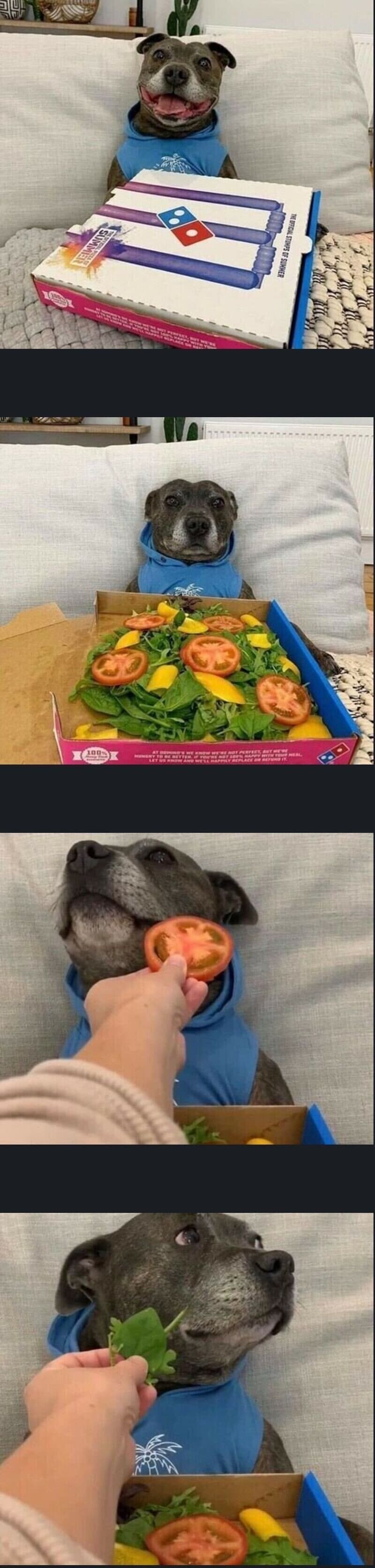 물어죽여도 무죄_1.jpg
