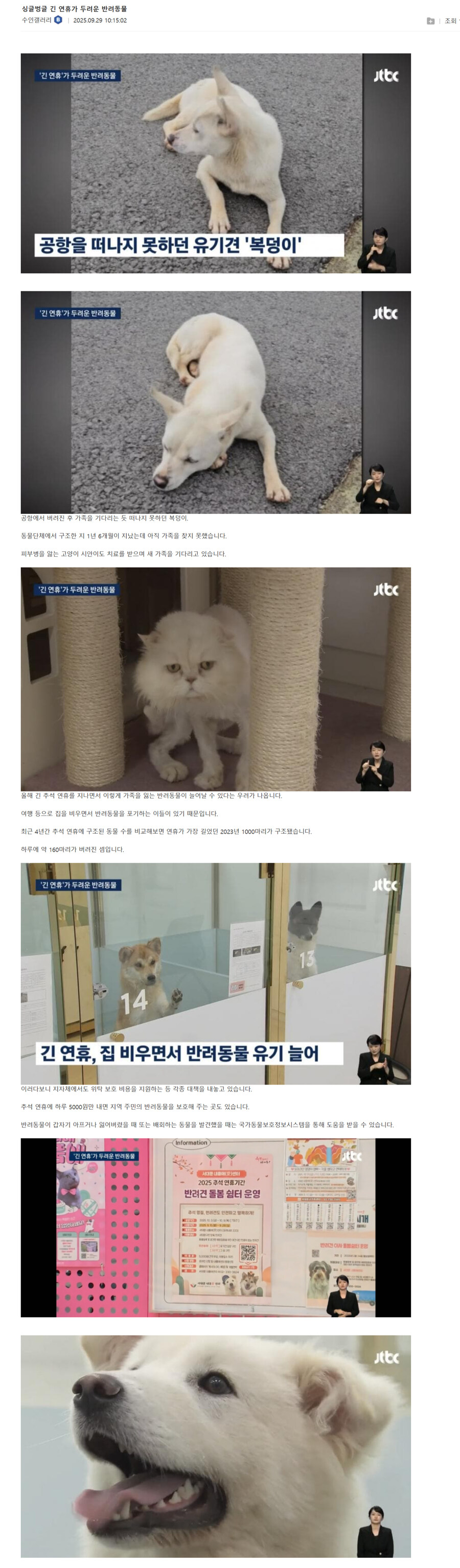 애완동물이 아니라 반려 동물 입니다! 함께 사는 가족이라구요!_1.jpg