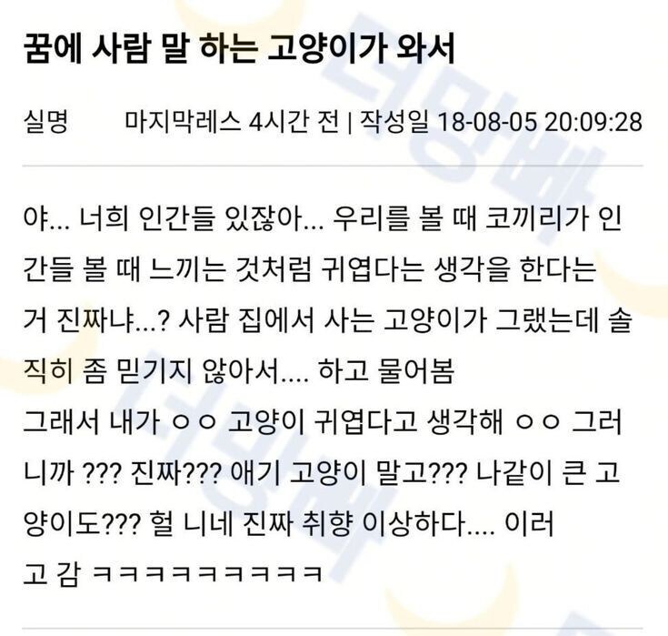 인간들에게 충격받은 고양이.jpg_1.jpg