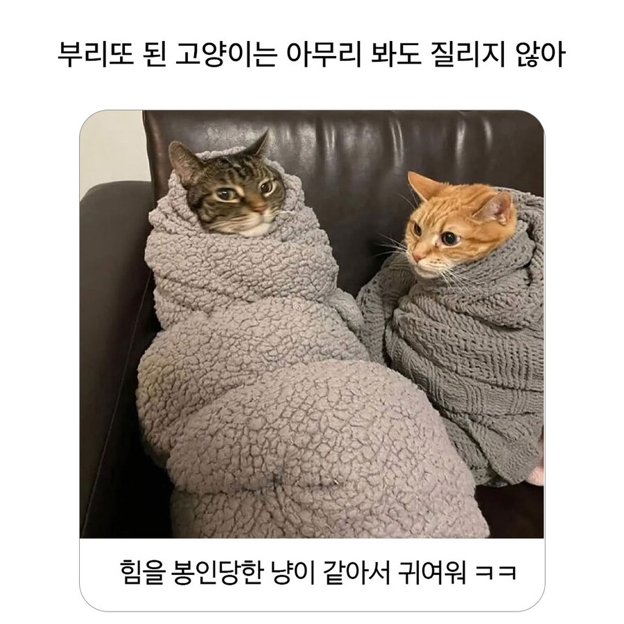 큭.. 인간 내 힘을 봉인하다니..._1.jpg