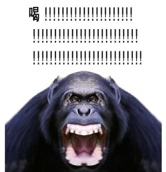 샹치가 어쩔 수 없는 서양산이구나 느낀 지점.png_2.jpg