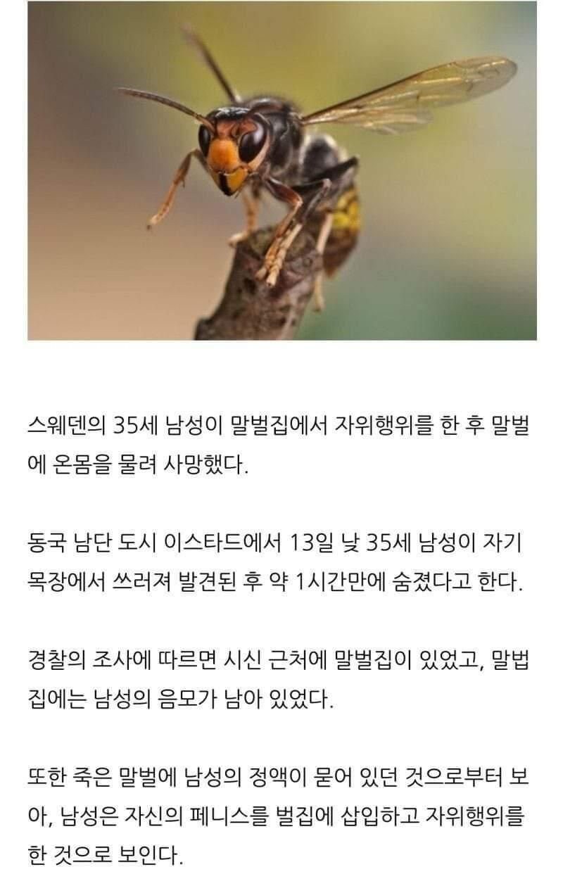 최후의 딸_1.jpg