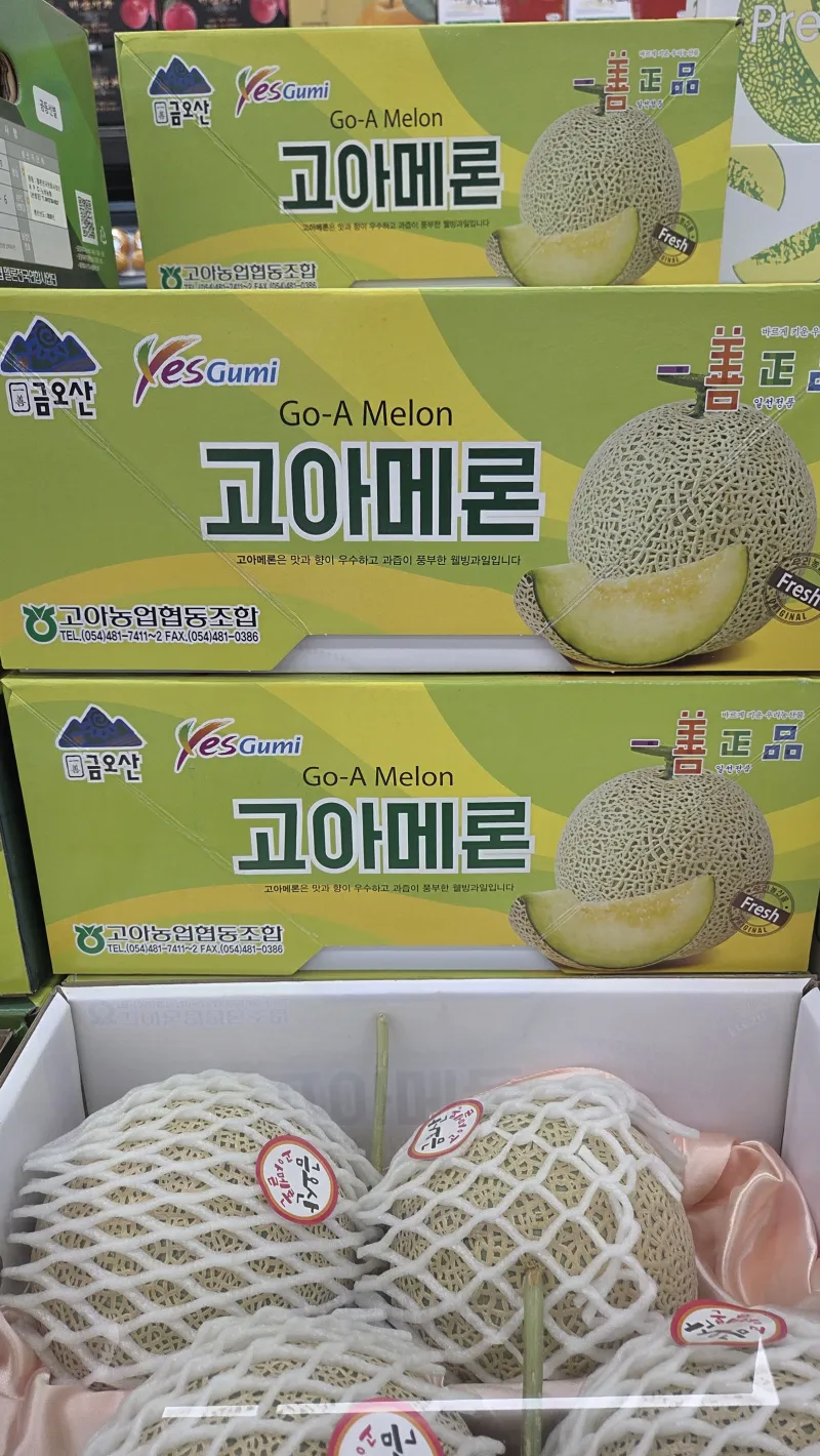 메론 중 가장 슬픈 메론은?_1.webp