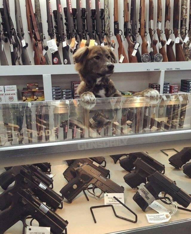 개같은 총포상.jpg_1.jpg