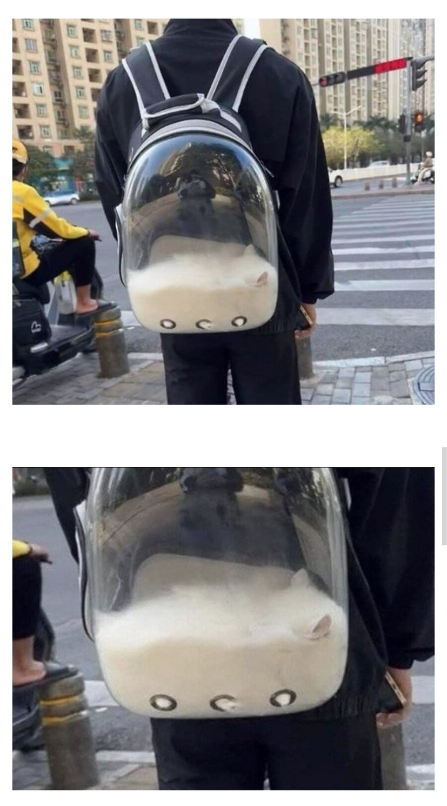가방속에서 터져버린 우유_1.jpg