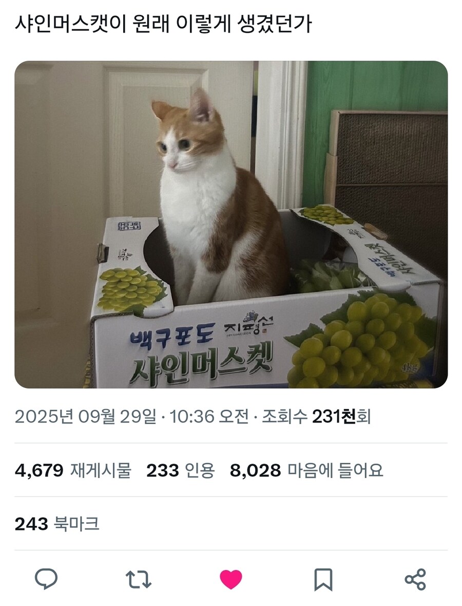 신종 샤인머스캣_1.jpg