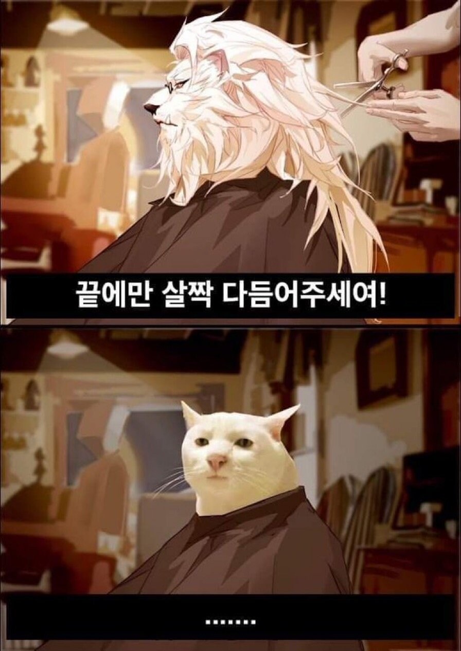 남자들 미용실특.jpg_1.jpg