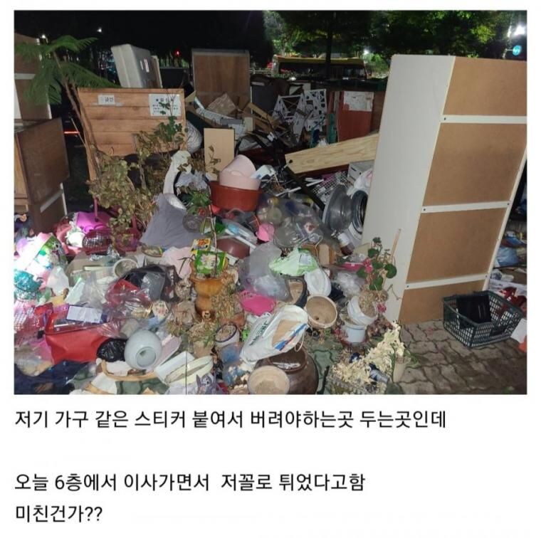 이사하고 다 버리고 도망감.jpg_1.jpg