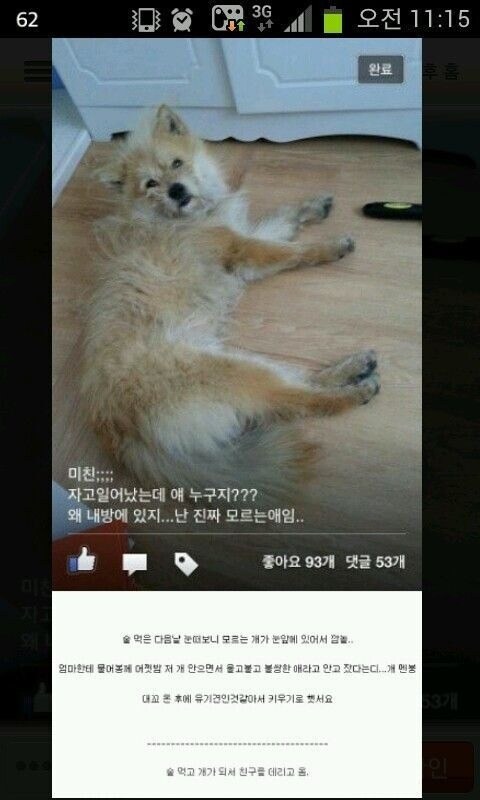 술에 꽐라 돼서 친구 데려온 아들ㅋㅋㅋㅋㅋ_1.jpg