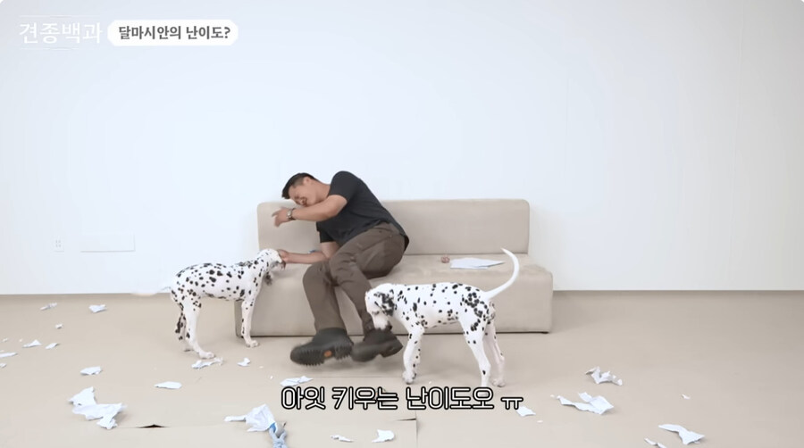 유투브 개통령도 키우지 말라고 하는 개_1.jpg